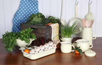 Dexam Vintage Enamelware