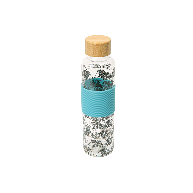 Scion Spike Glass Drinks Bottle (500ml) Aqua